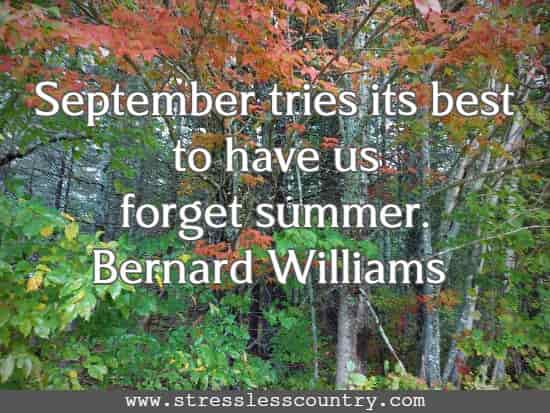 September tries its best to have us forget summer.