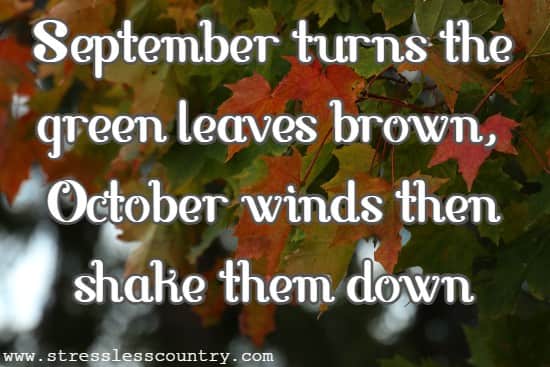 September turns the green leaves brown, October winds then shake them down