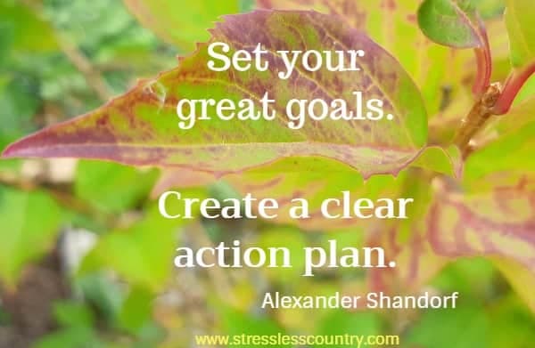 set your great goals. create a clear action plan. 