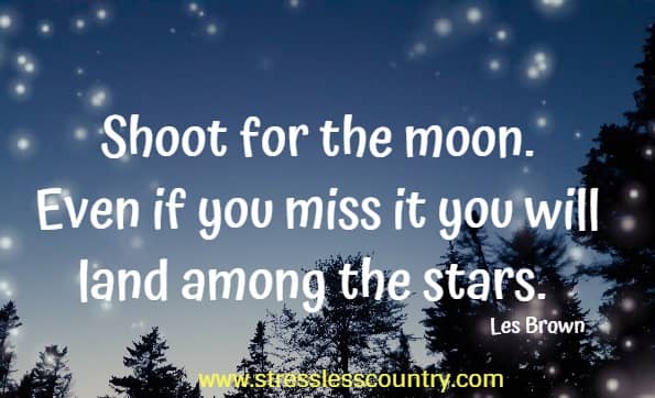 Shoot for the moon. Even if you miss it you will land among the stars.