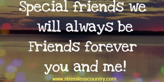 Special friends we will always be. Friends forever you and me