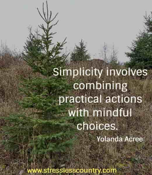 Simplicity involves combining practical actions with mindful choices.