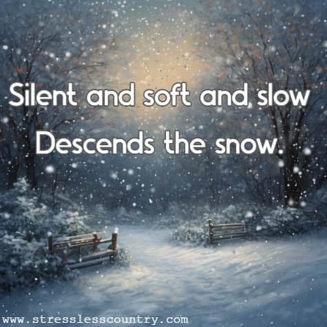 Silent and soft and slow Descends the snow.