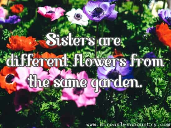 Sisters are different flowers from the same garden.