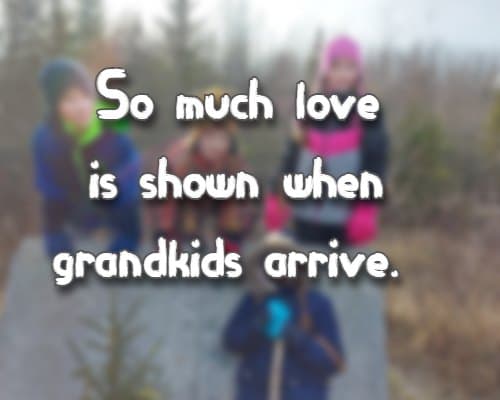 So much love  is shown when grandkids arrive