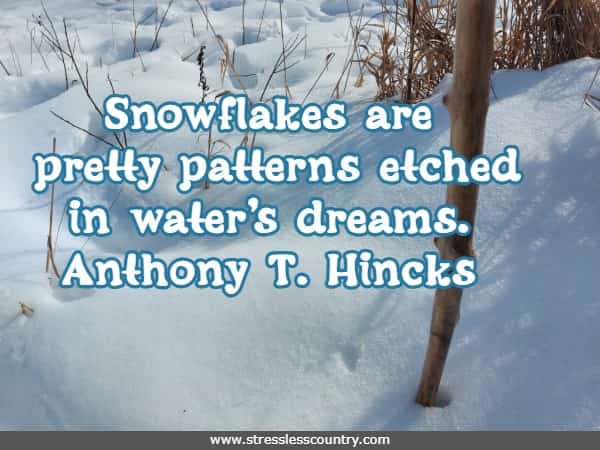 Snowflakes are pretty patterns etched in water’s dreams.