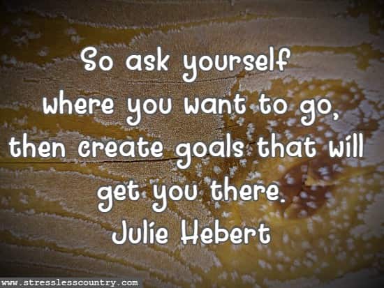 So ask yourself where you want to go, then create goals that will get you there.