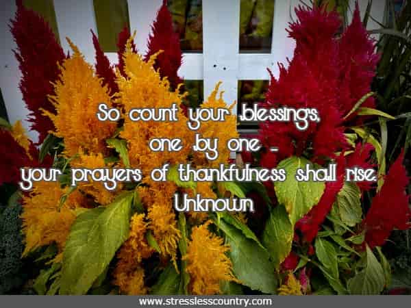 So count your blessings, one by one ...your prayers of thankfulness shall rise.