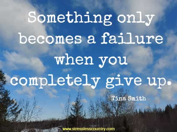 Something only becomes a failure when you completely give up.