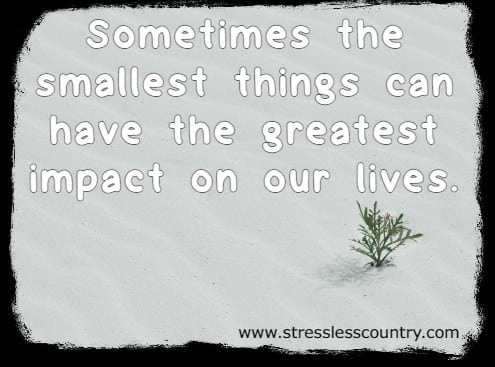 Sometimes the smallest things can have the greatest impact on our lives.