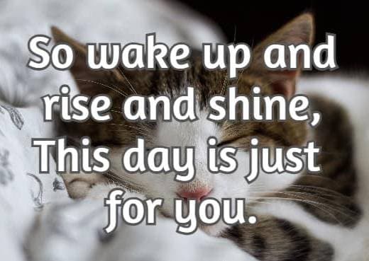 So wake up and rise and shine, This day is just for you.