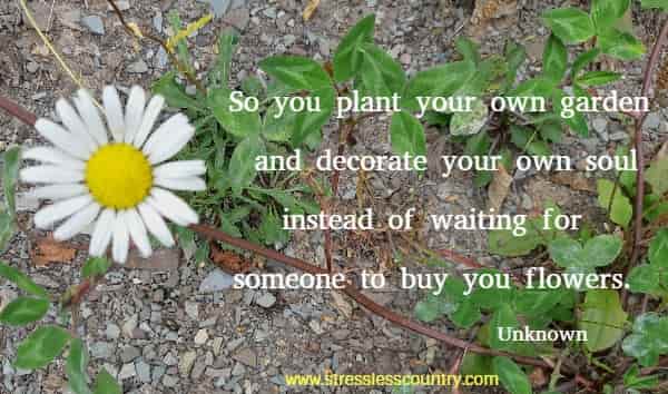 So you plant your own garden and decorate your own soul instead of waiting for someone to buy you flowers.
