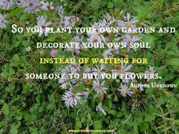 So you plant your own garden and decorate your own soul instead of waiting for someone to buy you flowers.