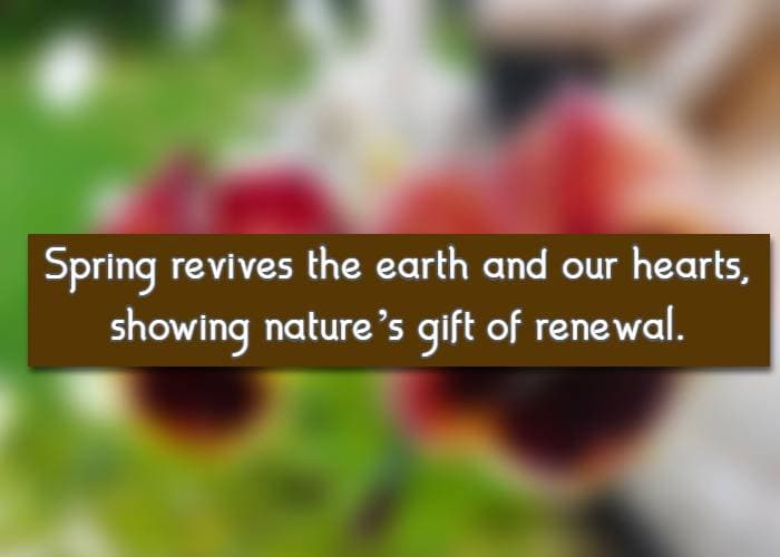 Spring revives the earth and our hearts, showing nature’s gift of renewal.