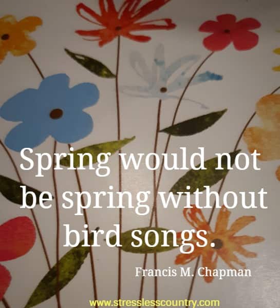 Spring would not be spring without bird songs.