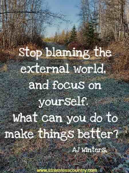 Stop blaming the external world, and focus on yourself. What can you do to make things better?