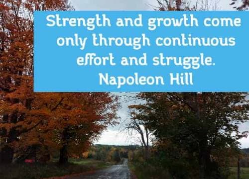 Strength and growth come only through continuous effort and struggle. Napoleon Hill