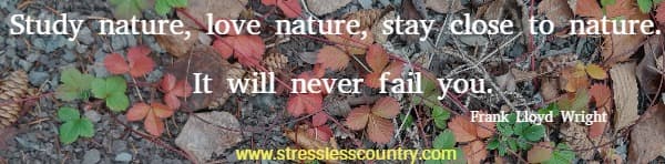 Study nature, love nature, stay close to nature. It will never fail you. Frank Lloyd Wright