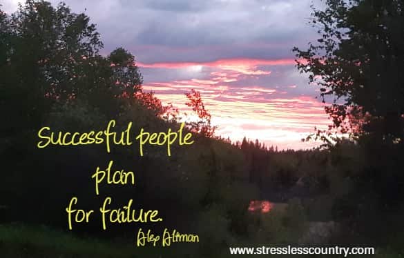 successful people plan....