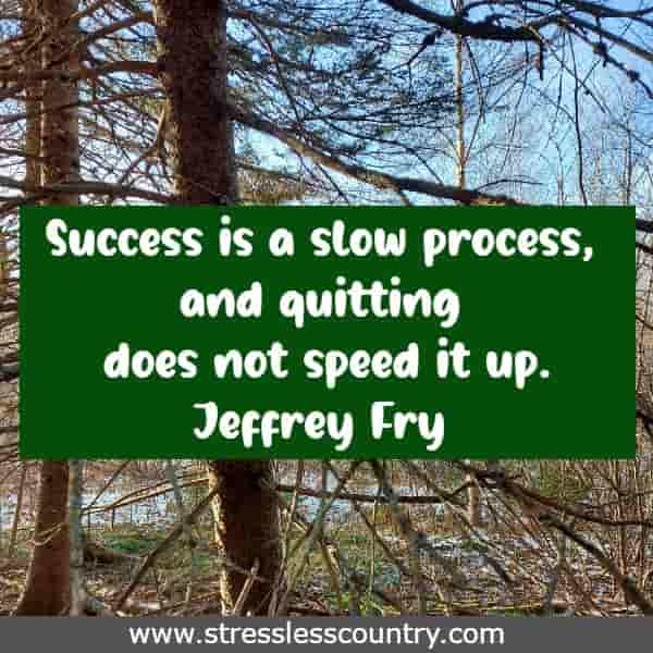 Success is a slow process, and quitting does not speed it up.