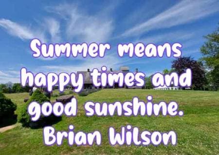 Summer means happy times and good sunshine. Brian Wilson
