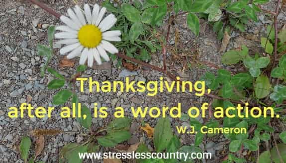 Thanksgiving, after all, is a word of action.