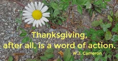 Thanksgiving, after all, is a word of action
