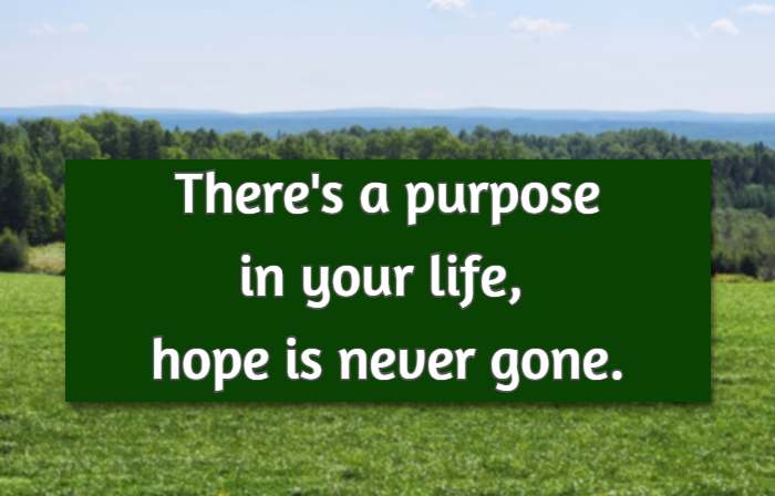 There's a purpose in your life, hope is never gone.