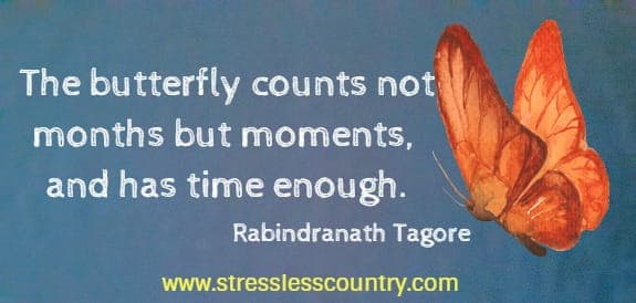 The butterfly counts not months but moments, and has time enough.