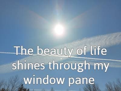 The beauty of life shines through my window pane