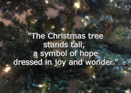 the christmas tree stands tall, a symbol of hope dressed in joy and wonder
