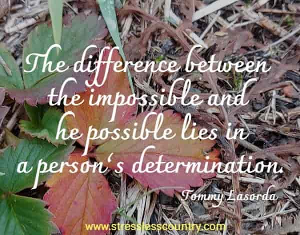 The difference between the impossible and the possible lies in a person’s determination.