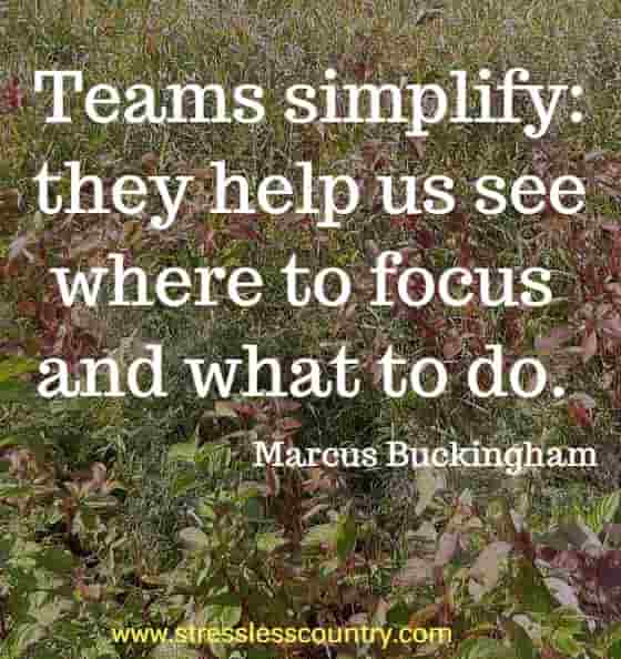 Teams simplify: they help us see where to focus and what to do.