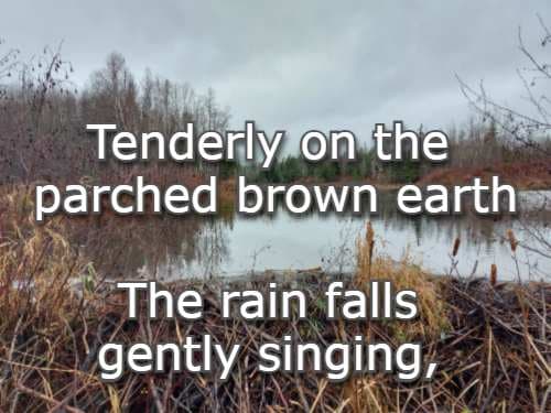 Tenderly on the parched brown earth, the rain falls gently singing.