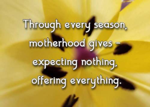 Through every season, motherhood gives - expecting nothing, offering everything