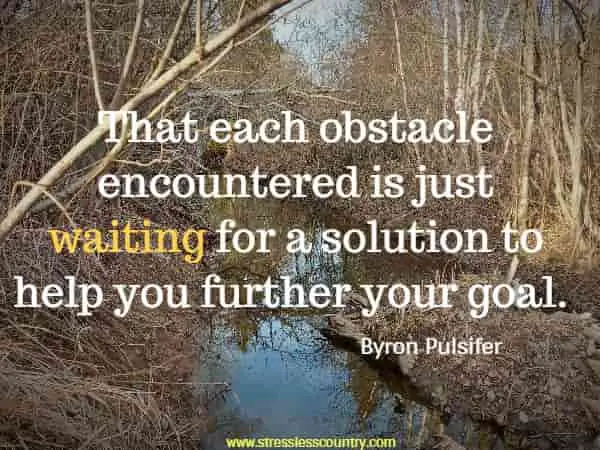That each obstacle encountered is just waiting for a solution to help you further your goal.
