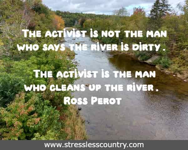 The activist is not the man who says the river is dirty. The activist is the man who cleans up the river.