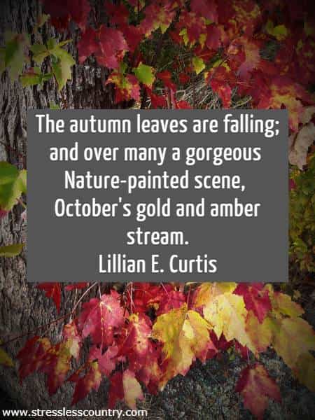 The autumn leaves are falling; and over many a gorgeous Nature-painted scene, October's gold and amber stream.