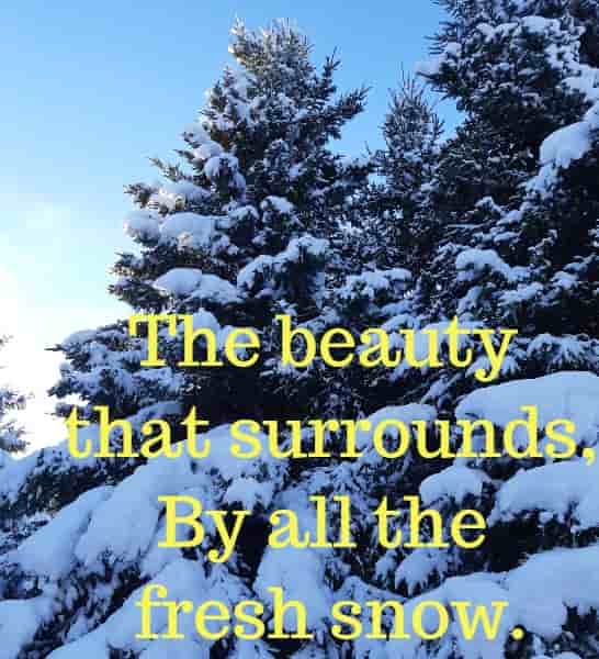 The beauty that surrounds, By all the fresh snow