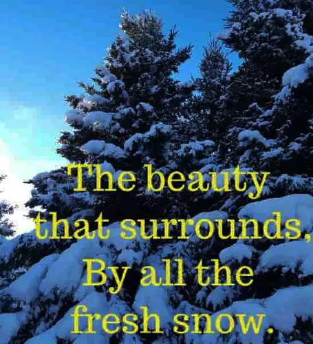 The beauty that surrounds, By all the fresh snow