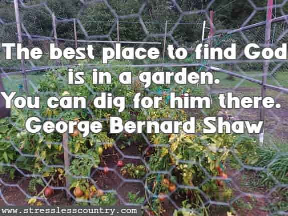 The best place to find God is in a garden. You can dig for him there.