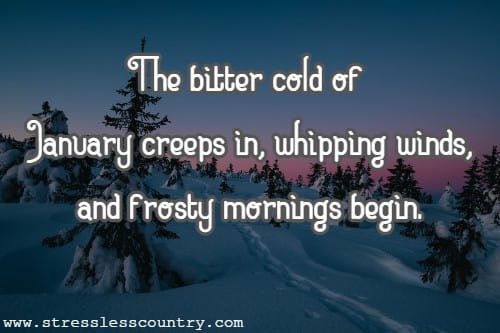 The bitter cold of January creeps in, whipping winds, and frosty mornings begin.