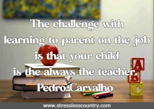 The challenge with learning to parent on the job is that your child is the always the teacher.