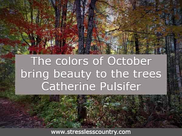 The colors of October bring beauty to the trees