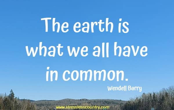 The earth is what we all have in common.