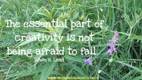 The essential part of creativity is not being afraid to fail