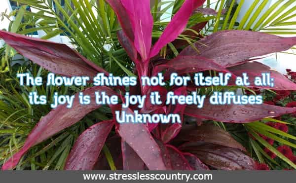 The flower shines not for itself at all; its joy is the joy it freely diffuses