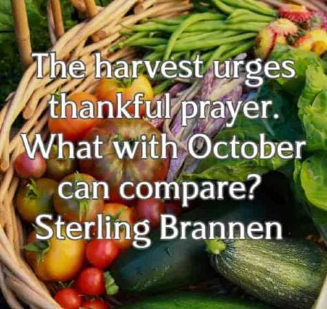 The harvest urges thankful prayer.  What with October can compare?