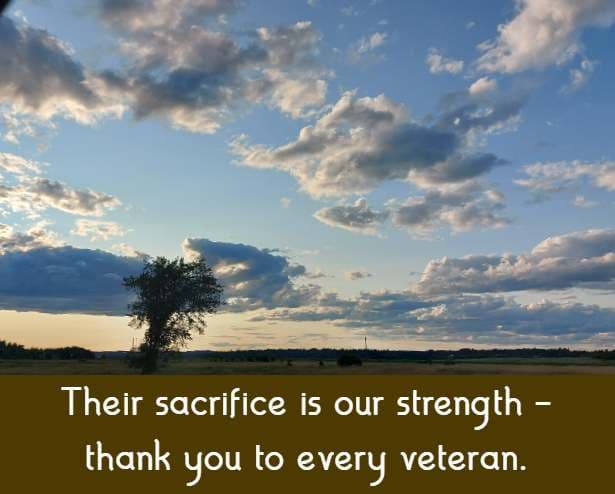 Their sacrifice is our strength - thank you to every veteran