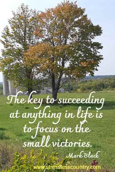 The key to succeeding at anything in life is to focus on the small victories. Mark Black 